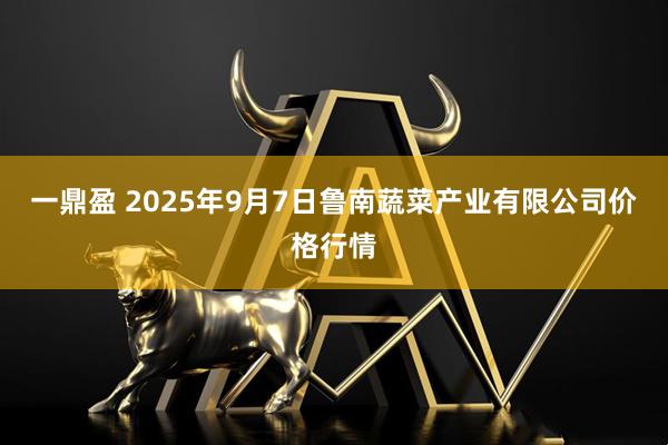 一鼎盈 2025年9月7日鲁南蔬菜产业有限公司价格行情