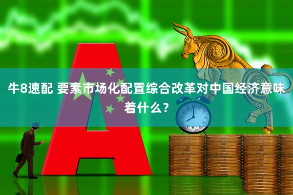 牛8速配 要素市场化配置综合改革对中国经济意味着什么？