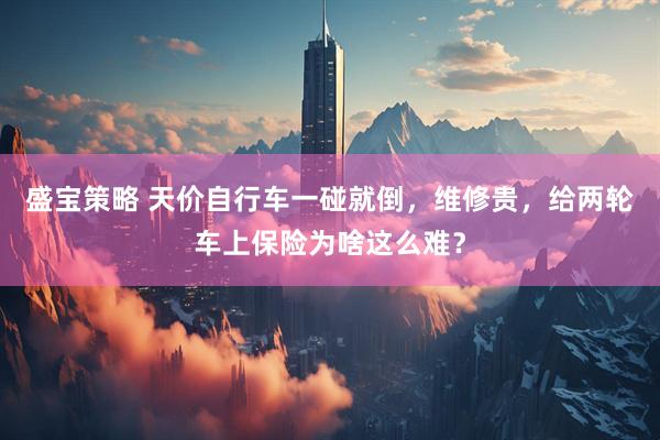 盛宝策略 天价自行车一碰就倒，维修贵，给两轮车上保险为啥这么难？