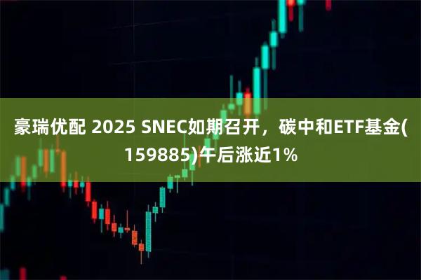 豪瑞优配 2025 SNEC如期召开，碳中和ETF基金(159885)午后涨近1%