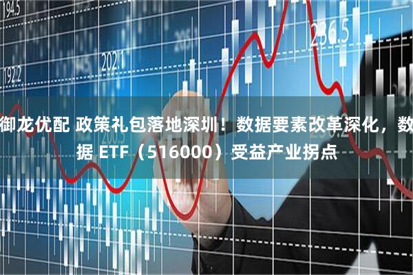 御龙优配 政策礼包落地深圳！数据要素改革深化，数据 ETF（516000）受益产业拐点