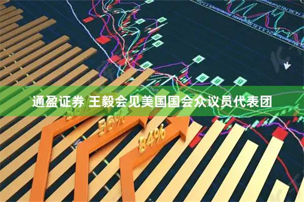 通盈证券 王毅会见美国国会众议员代表团