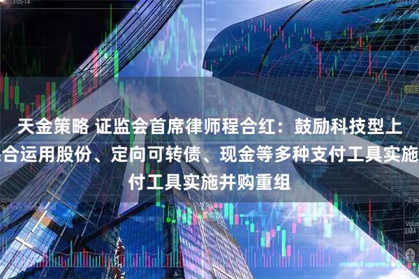 天金策略 证监会首席律师程合红：鼓励科技型上市公司综合运用股份、定向可转债、现金等多种支付工具实施并购重组