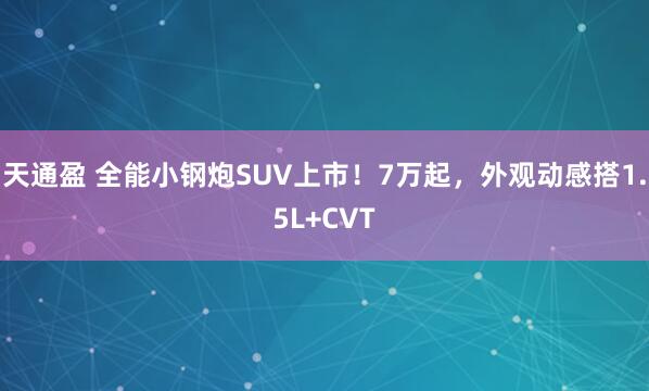 天通盈 全能小钢炮SUV上市!7万起,外观动感搭1.5L+CVT