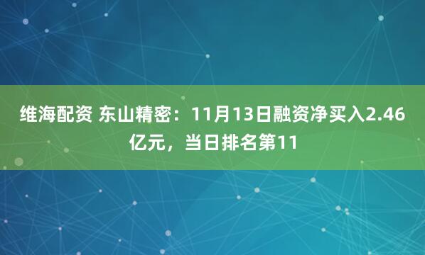 维海配资 东山精密：11月13日融资净买入2.46亿元，当日排名第11