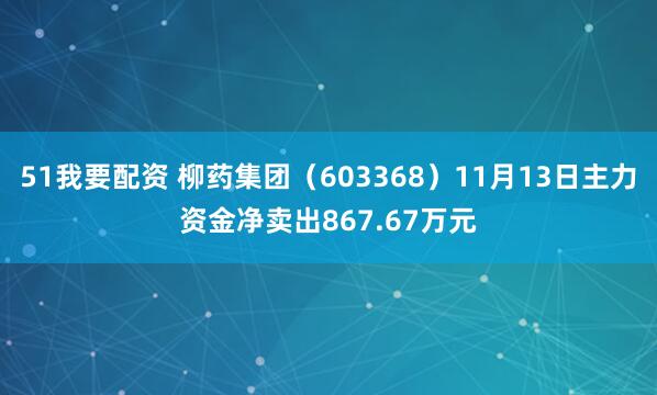 51我要配资 柳药集团（603368）11月13日主力资金净卖出867.67万元