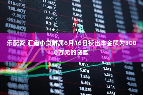 乐配资 汇鑫小贷附属6月16日授出本金额为3000万元的贷款