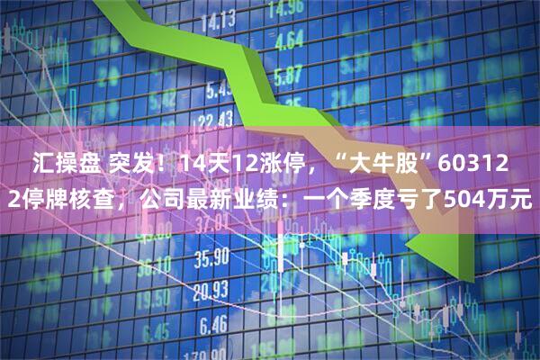 汇操盘 突发！14天12涨停，“大牛股”603122停牌核查，公司最新业绩：一个季度亏了504万元
