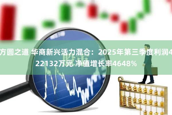 方圆之道 华商新兴活力混合：2025年第三季度利润422132万元 净值增长率4648%