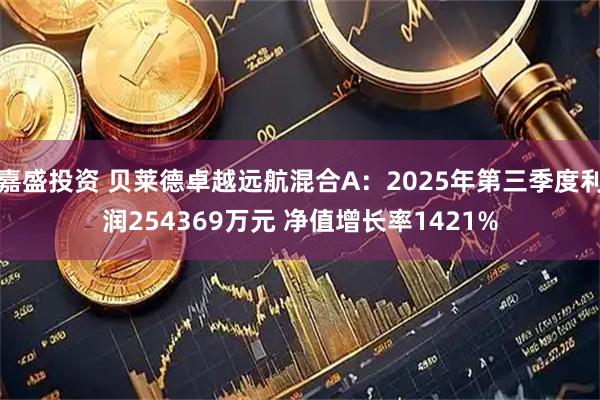 嘉盛投资 贝莱德卓越远航混合A：2025年第三季度利润254369万元 净值增长率1421%