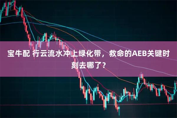 宝牛配 行云流水冲上绿化带，救命的AEB关键时刻去哪了？